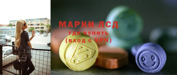 ешки Аркадак