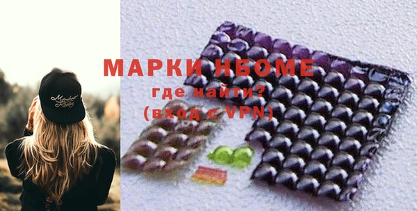 ешки Аркадак