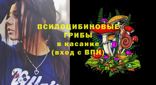 ешки Аркадак