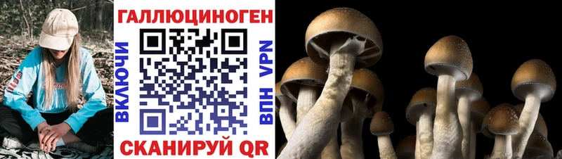 Псилоцибиновые грибы прущие грибы  Корсаков 