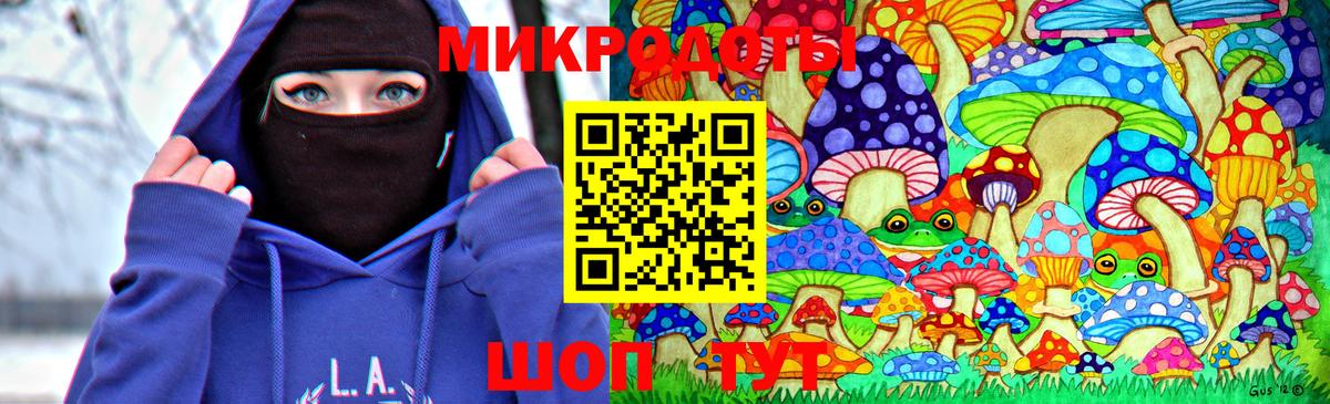 Галлюциногенные грибы Psilocybine cubensis Корсаков